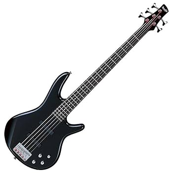 Amazon | Ibanez(アイバニーズ) GIOシリーズ 5弦エレキベース